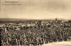 Vintage Postcard Folklore Wine Vineyard Grape harvest Champagne Moet and Chandon the grape harvest has Mesnil on Oger