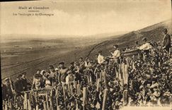 Vintage Postcard Folklore Wine Vineyard Grape harvest Champagne Moet and Chandon the grape harvest has Ay Champagne