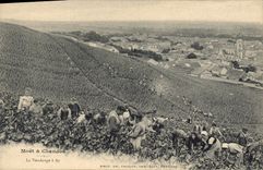 Vintage Postcard Folklore Wine Vineyard Grape harvest Champagne Moet and Chandon the vintage has Ay
