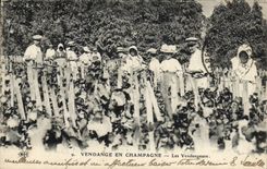 Vintage Postcard Folklore Wine Vineyard Grape harvest Champagne the vintagers SIGNAL