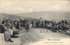 Vintage Postcard Folklore Wine Vineyard Grape harvest Champagne the lunch of the vintagers has Epernay