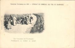 Vintage Postcard Folklore Wine Vineyard Grape harvest Champagne World Fair of 1900 Vintagers going to work