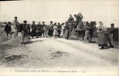 Vintage Postcard Folklore Wine Vineyard Grape harvest in the Medoc the loading of the grape SIGNAL
