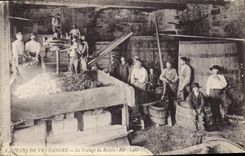Vintage Postcard Folklore Wine Vineyard Grape harvest the pressing of the grape SIGNAL