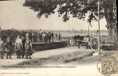 Vintage Postcard Folklore Wine Vineyard Grape harvest in the Livornese Vintagers going to work SIGNAL