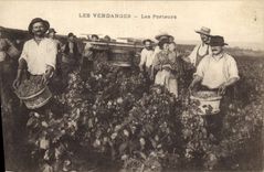 Vintage Postcard Folklore Wine Vineyard Grape harvest carriers