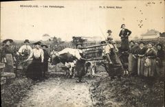 Vintage Postcard Folklore Wine Vineyard Grape harvest Beaujolais wine Cow SIGNAL