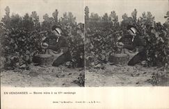 Vintage Postcard Vin Grape harvest Good mother has her 67eme vintage