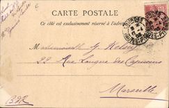 Vintage Postcard Wine Grape harvest the Pyrenees Tank of Grape harvest SIGNAL