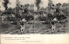 Vintage Postcard Wine Grape harvest After the gathering the doll's tea party and the good doggie is also of the festival Chien SIGNAL