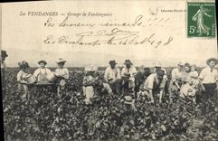 Vintage Postcard Vin Grape harvest Groups vintagers SIGNAL