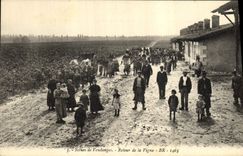 Vintage Postcard Wine Scenes of Grape harvest Return of the vine SIGNAL