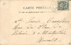 Vintage Postcard Wine the Pyrenees Tank of Grape harvest Beef animals SIGNAL