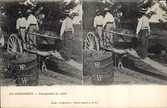 Vintage Postcard Wine Grape harvest Loading of the grape
