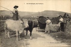 CPA Vin Vendanges Les porteurs TOP