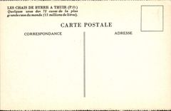 Vintage Postcard Publicite Wine storehouses of Byrrh has Thuir Cuves