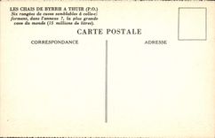 Vintage Postcard Publicite Wine storehouses of Byrrh has Thuir Six lines of tanks