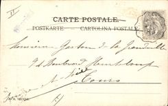 Vintage Postcard Fantasy Birds Christmas Pheasants