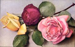 Postal Fantasia Flores Racimo de rosas