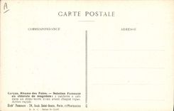 Postal Fantasia Flores Lycopside de los campos Familia de sBorraginees Ramo florecido