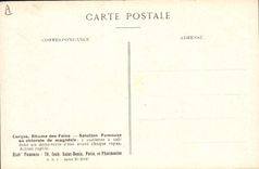 Postal Fantasia Flores Jacinto de las maderas Familia del Liliáceas