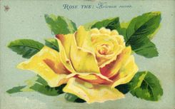 Postal Fantasia Flores Rosado The Feliz éxitos