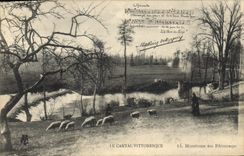 CPA Folklore Cantal Moutons au paturage 