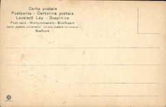 CPA Fantaisie Fleurs 