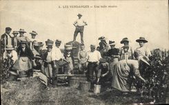 CPA Vin Vendanges Une bele recolte TOP