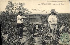 CPA Vin Vendanges Porteurs de Benne TOP