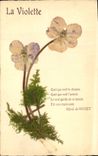 CPA Fantaisie Fleurs sechees Violette
