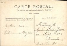 CPA Fantaisie Fleurs sechees Algues naturelles