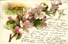 CPA Fantaisie Fleurs 