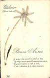 CPA Fantaisie Fleurs sechees Edelweiss
