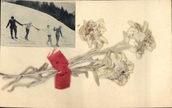 CPA Fantaisie Fleurs sechees Ski