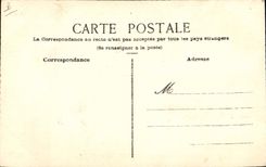 Vintage Postcard Fantasy Flowers sechees Ski