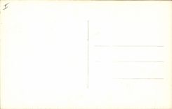 Vintage Postcard Organ Cathedral of Strasbourg the great nave