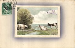 CPA Fantaisie Vaches 