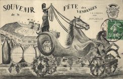 CPA Vin Fete des Vendanges Bordeaux Cheval 