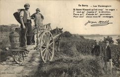 CPA Vin Vendanges En Berry Les vendangeurs 