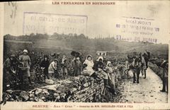 CPA Vin Vendanges Beaune Aux Cras Domaine de Bouchard Pere & Fils Bourgogne 