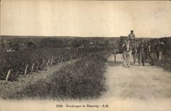 CPA Vin Vendanges de Vouvray 