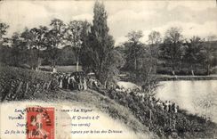 CPA Vin Vendanges Vignobles Grandin 