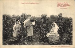 CPA Vin Vendanges Les petits vendangeurs Enfants 