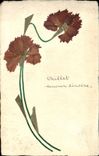 CPA Fleurs Sechees 
