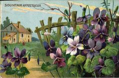 CPA Fantaisie Fleurs 