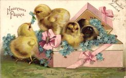 CPA Fantaisie Fleurs Poussins