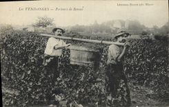 CPA Folklore Vin Vendanges Porteurs de bennes 