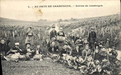 CPA Folklore Vin Scenes de Vendanges 