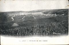 CPA Folklore Vin Vendanges Vezenay Entoure de ses vignes